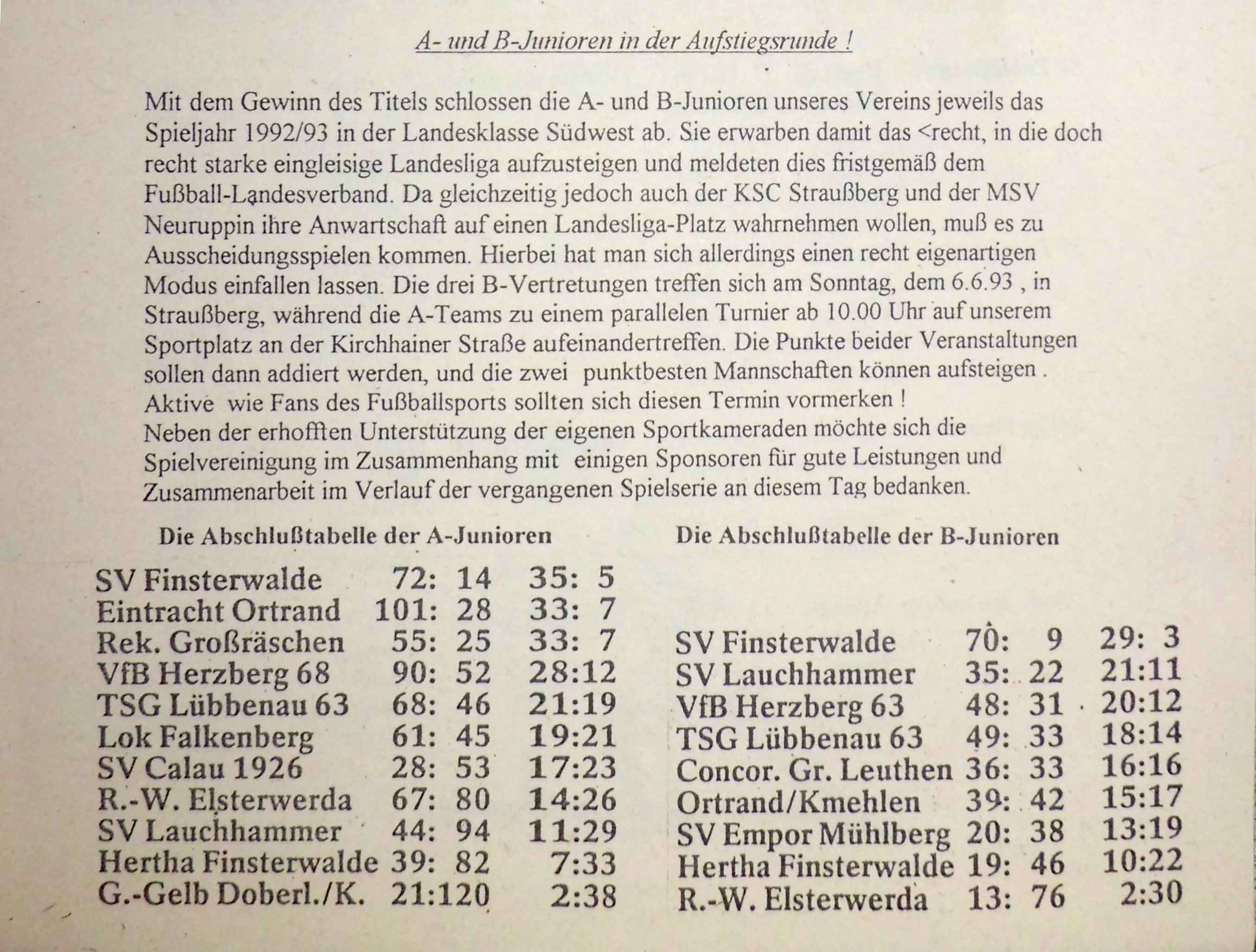 1993 - Bericht und Tabellen im Stadionheft