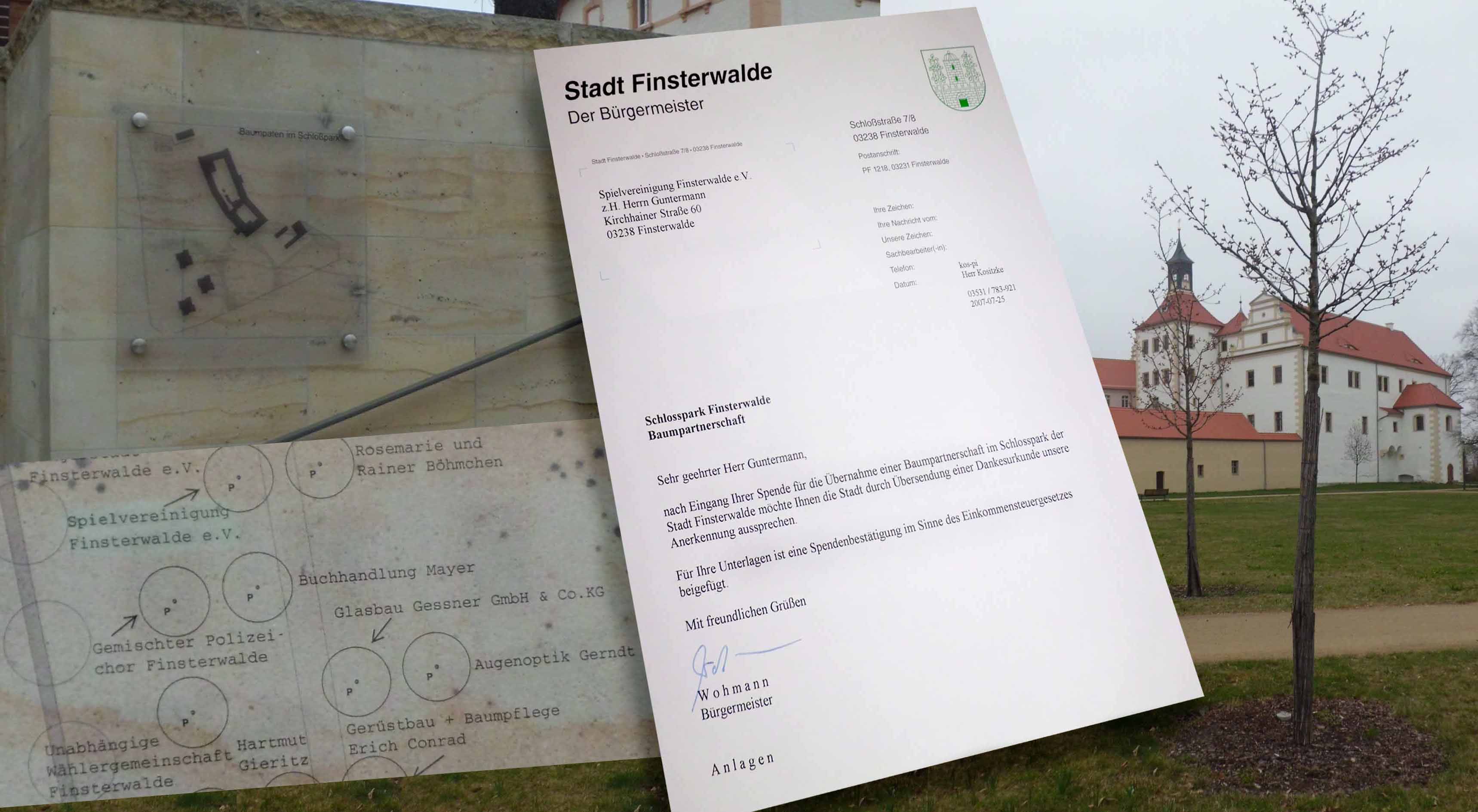 2007 übernahm die SpVgg die Patenschaft für einen Baum im Schlosspark.