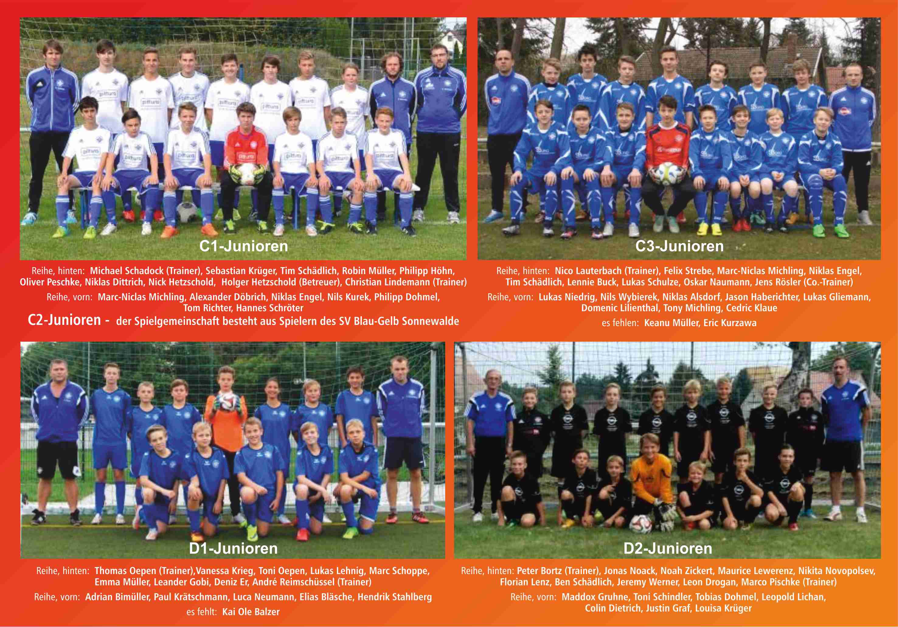 C1 (l.o.) - C3 (r.o.) - D1 (l.u.) - D2 (r.u.)